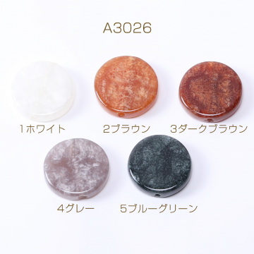 高品質樹脂ビース コイン 24mm【10ヶ】