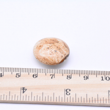 天然石パーツ ピクチャージャスパー ボタン型　無孔 10×22mm （1ヶ）